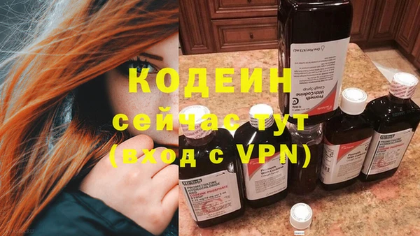 мдпв Осташков