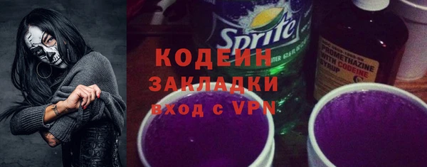 амф Няндома