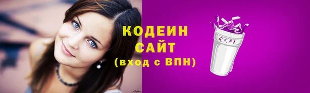 амф Няндома