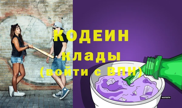амф Няндома