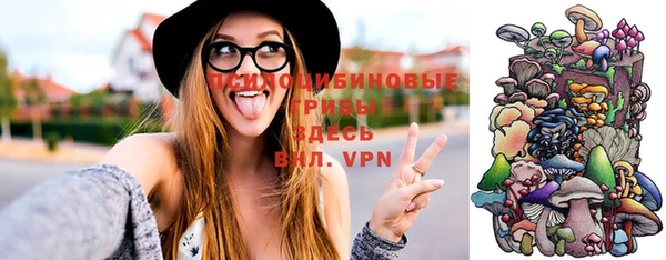 apvp Нязепетровск