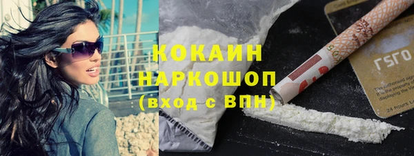 мдпв Осташков